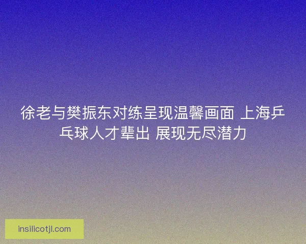 徐老与樊振东对练呈现温馨画面 上海乒乓球人才辈出 展现无尽潜力