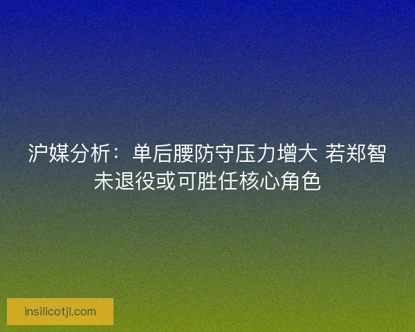 沪媒分析：单后腰防守压力增大 若郑智未退役或可胜任核心角色